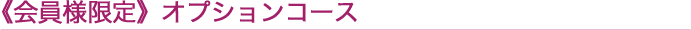 おすすめオプションコース